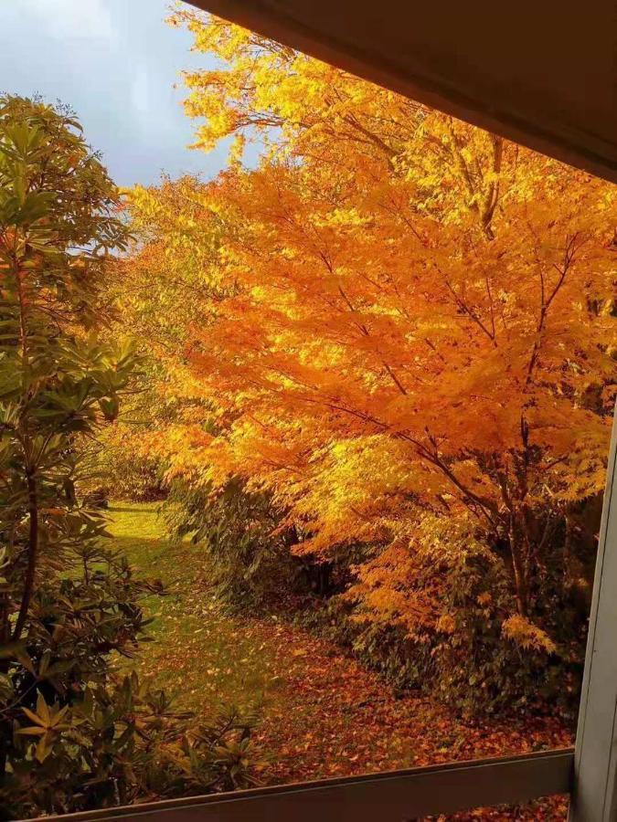 فيلا Treeside Woodhouse هوكسهيد المظهر الخارجي الصورة