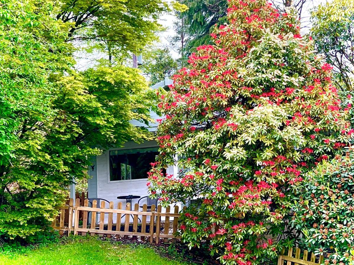 فيلا Treeside Woodhouse هوكسهيد المظهر الخارجي الصورة